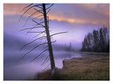 Yellowstone Lake, Yellowstone National Park, Wyoming-Paper Art-18,,X14,,
