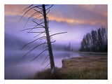 Yellowstone Lake, Yellowstone National Park, Wyoming-Paper Art-26,,X20,,
