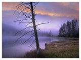 Yellowstone Lake, Yellowstone National Park, Wyoming-Paper Art-42,,X32,,