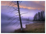 Yellowstone Lake, Yellowstone National Park, Wyoming-Paper Art-50,,X38,,