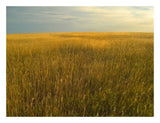 Upper Prairie In Badlands National Park, South Dakota-Paper Art-26,,X20,,