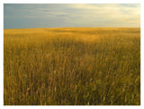 Upper Prairie In Badlands National Park, South Dakota-Paper Art-42,,X32,,