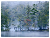 Emerald Lake In Fog, Emerald Lake State Park, Vermont-Paper Art-42,,X32,,