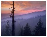 Sunset Over Forest, Crater Lake National Park, Oregon-Paper Art-42,,X32,,