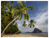 Palm Trees, Pinagbuyutan Island, Palawan, Philippines-Paper Art-50,,X38,,