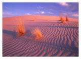 Gypsum Dunes, Guadalupe Mountains National Park, Texas-Paper Art-18,,X14,,