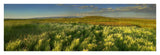Grasslands, Arapaho National Wildlife Refuge, Colorado-Paper Art-42,,X14.4,,
