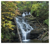 Delaware Falls, Ricketts Glen State Park, Pennsylvania-Paper Art-46,,X41.16,,