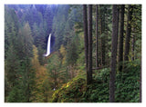 North Falls, Silver Falls State Park Near Salem, Oregon-Paper Art-18,,X14,,