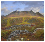 Cloudy Range, Tombstone Territorial Park, Yukon, Canada-Paper Art-38,,X34.76,,