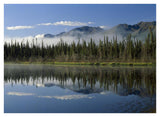 Boreal Forest Along Lake Edge, Nutzotin Mountains, Alaska-Paper Art-42,,X32,,