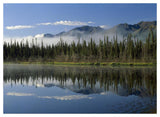 Boreal Forest Along Lake Edge, Nutzotin Mountains, Alaska-Paper Art-50,,X38,,