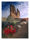 Paintbrush And The Organ Rock, Arches National Park, Utah-Paper Art-20,,X26,,