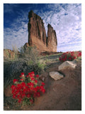 Paintbrush And The Organ Rock, Arches National Park, Utah-Paper Art-26,,X34,,