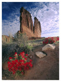 Paintbrush And The Organ Rock, Arches National Park, Utah-Paper Art-32,,X42,,