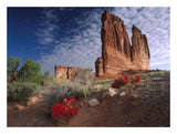 Paintbrush And The Organ Rock, Arches National Park, Utah-Paper Art-26,,X20,,