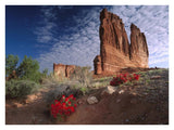 Paintbrush And The Organ Rock, Arches National Park, Utah-Paper Art-34,,X26,,