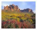 Chuparosa And Brittlebush Superstition Mountains, Arizona-Paper Art-26,,X20,,