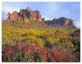 Chuparosa And Brittlebush Superstition Mountains, Arizona-Paper Art-50,,X38,,