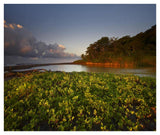 Lagoon Near Coastline, Corcovado National Park, Costa Rica-Paper Art-42,,X35.6,,