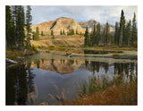 Ruby Range Reflected In Pond, Raggeds Wilderness, Colorado-Paper Art-26,,X20,,