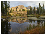Ruby Range Reflected In Pond, Raggeds Wilderness, Colorado-Paper Art-34,,X26,,