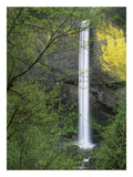 Latourell Falls, Columbia River Gorge Near Portland, Oregon-Paper Art-20,,X26,,