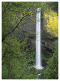 Latourell Falls, Columbia River Gorge Near Portland, Oregon-Paper Art-38,,X50,,