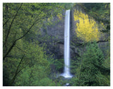 Latourell Falls, Columbia River Gorge Near Portland, Oregon-Paper Art-42,,X32,,