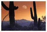 Kitt Peak Under Moon From Saguaro National Monument, Arizona-Paper Art-20,,X14,,