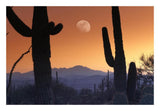 Kitt Peak Under Moon From Saguaro National Monument, Arizona-Paper Art-26,,X18,,
