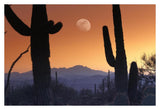 Kitt Peak Under Moon From Saguaro National Monument, Arizona-Paper Art-38,,X26,,