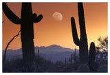 Kitt Peak Under Moon From Saguaro National Monument, Arizona-Paper Art-50,,X34,,