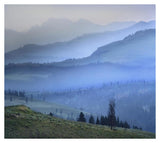 Mist Over Absaroka Range, Yellowstone National Park, Wyoming-Paper Art-38,,X34.04,,