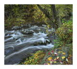 Little River, Great Smoky Mountains National Park, Tennessee-Paper Art-18,,X16.08,,