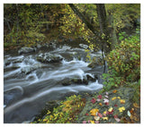 Little River, Great Smoky Mountains National Park, Tennessee-Paper Art-42,,X37.2,,