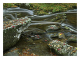 Laurel Creek, Great Smoky Mountains National Park, Tennessee-Paper Art-26,,X20,,