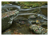 Laurel Creek, Great Smoky Mountains National Park, Tennessee-Paper Art-34,,X26,,