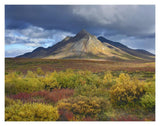 Ogilvie Mountains, Tombstone Territorial Park, Yukon, Canada-Paper Art-18,,X14,,