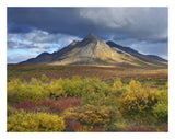 Ogilvie Mountains, Tombstone Territorial Park, Yukon, Canada-Paper Art-26,,X20,,