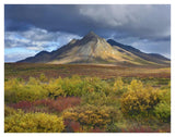 Ogilvie Mountains, Tombstone Territorial Park, Yukon, Canada-Paper Art-42,,X32,,