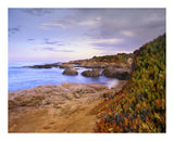Ice Plant Growing On Cliffs At Bean Hollow Beach, California-Paper Art-22,,X18,,