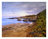 Ice Plant Growing On Cliffs At Bean Hollow Beach, California-Paper Art-26,,X22,,