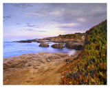 Ice Plant Growing On Cliffs At Bean Hollow Beach, California-Paper Art-37,,X30,,