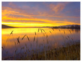 Sunrise At San Luis Reservoir, San Joaquin Valley, California-Paper Art-50,,X38,,