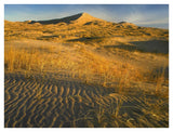Kelso Dunes And Grasses, Mojave National Preserve, California-Paper Art-42,,X32,,