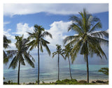 Coconut Palm Trees, Bikini Beach, Panglao Island, Philippines-Paper Art-18,,X14,,