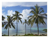 Coconut Palm Trees, Bikini Beach, Panglao Island, Philippines-Paper Art-26,,X20,,