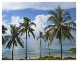 Coconut Palm Trees, Bikini Beach, Panglao Island, Philippines-Paper Art-42,,X32,,