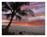 Coconut Palm At Sunset Near Dimiao, Bohol Island, Philippines-Paper Art-26,,X20,,